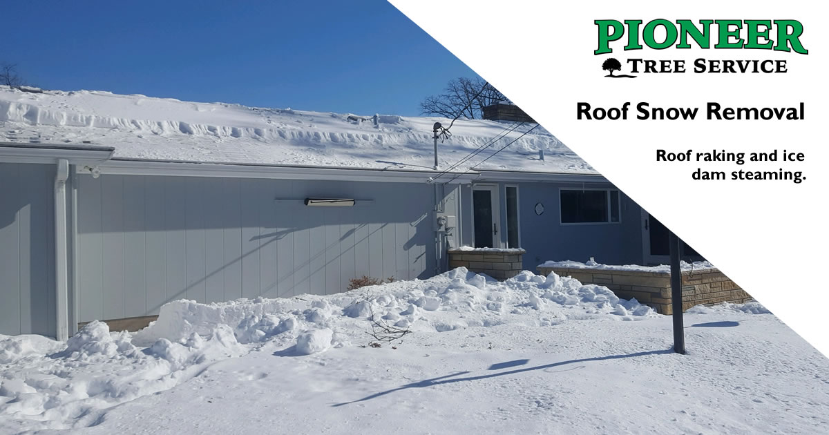 Ice Dam Removal Roof Snow Removal Stop Ice Dams